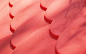 Lucklawhill plastic roof costs