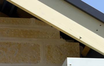 soffit repair Lucklawhill